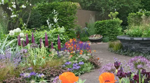 En lummig trädgård med en gång av tegelstenar. Här har någon valt att plantera blommor i en färgsprakande blandning av lila, orange och vitt.