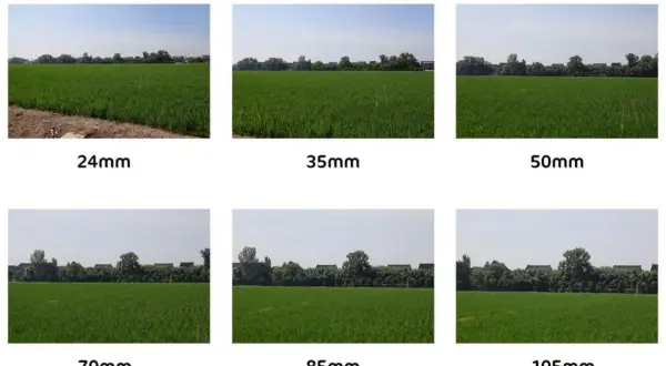 Sei immagini di un campo di riso con diverse lunghezze focali, da 24mm a 105mm, che mostrano l'effetto di un obiettivo per ritratti.