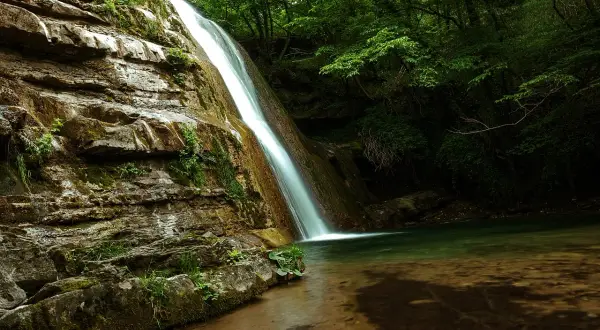 Le cascate dell'Acquacheta scendono su rocce muschiose in una foresta lussureggiante, creando un'oasi di pace.