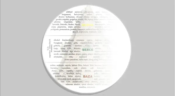 Koło i Piramida Zapachów Naturalnych Aromarty: lista nut zapachowych perfum, od cytrusowych po drzewne i kwiatowe.