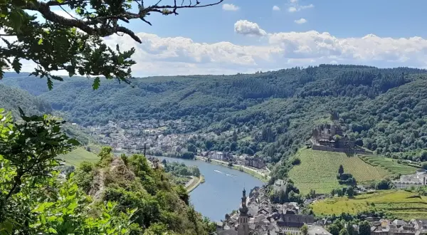 Blick vom Berg auf Cochem mit Reichsburg und Mosel. Perfekt für eine Wanderung.