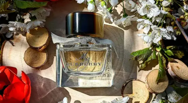 Perfumy My Burberry w eleganckiej, szklanej butelce, otoczone kwitnącymi gałązkami i czerwonymi kwiatami.