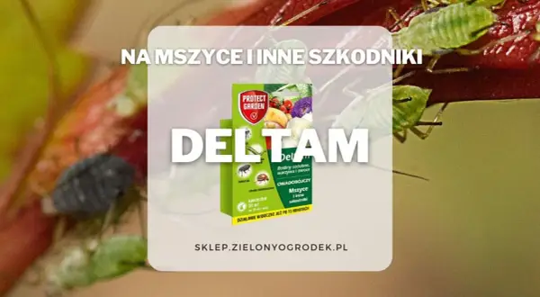 DELTAM insektycyd na mszyce i inne szkodniki. Opakowanie produktu Protect Garden. Działanie widoczne już po 15 minutach.