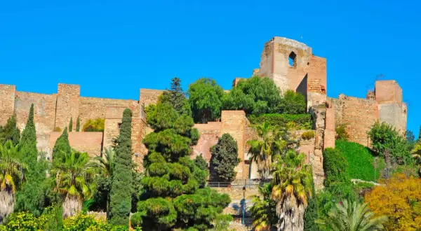 La Alcazaba de Málaga, fortaleza árabe con murallas de ladrillo y exuberante vegetación, se alza majestuosa bajo un cielo azul intenso.
