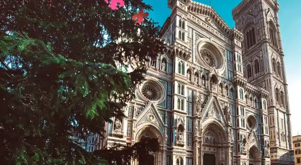 Un albero di Natale addobbato con fiocchi rosa davanti al Duomo di Firenze, un luogo dove si festeggia la Befana in Italia.
