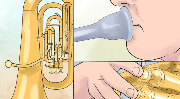 Ein Euphonium und eine Tuba im Vergleich: Mundstück und Ventile.