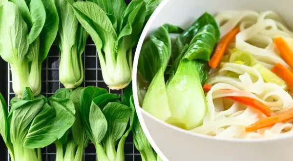 Świeża sałata pak choi na tacy i w misce z makaronem i warzywami.