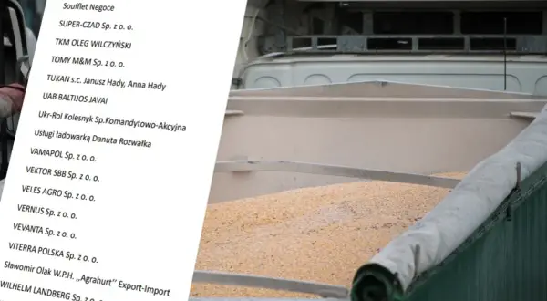Jakie firmy sprowadzają zboże z Ukrainy? Odkryj ważne informacje