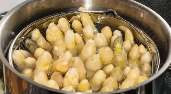 Spargel im Spargeltopf kochen. Die weißen Stangen garen in siedendem Wasser, bereit für ein köstliches Gericht.
