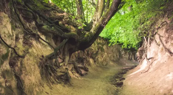 Wojsławice Lubelskie: Najciekawsze atrakcje w Wojsławicach