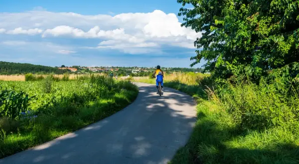 Osoba na rowerze przemierza malowniczą trasę velo natura, otoczoną zielenią pól i drzew, pod błękitnym niebem z chmurami.