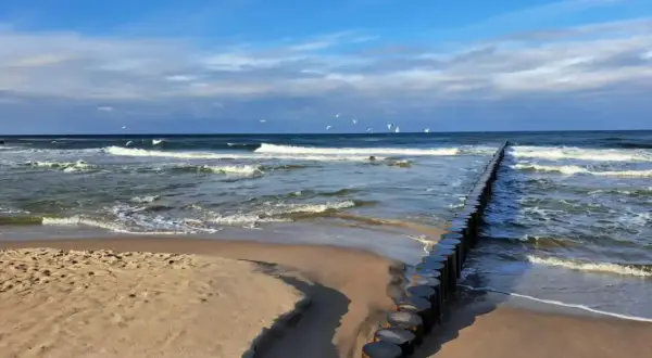 Plaża z falochronem i mewami. Z Poznania pociągiem dojedziesz do wielu miast nad morzem, np. do Trójmiasta czy Kołobrzegu.