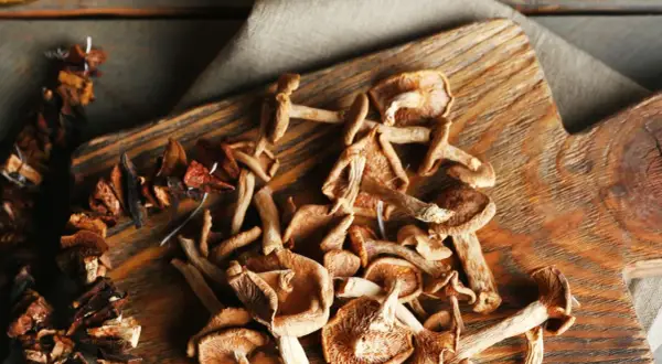 Getrocknete Pilze auf einem Holzbrett, bereit zum Kochen. Das Trocknen von Pilzen ist eine tolle Methode, um ihren Geschmack zu konservieren.