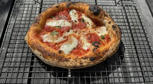 En perfekt napolitansk pizza med bubblig, bränd kant, tomatsås och smält mozzarella på ett galler.