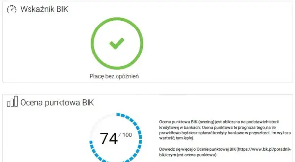 BIK: Jak sprawdzić swoją historię kredytową i zwiększyć szanse na kredyt?