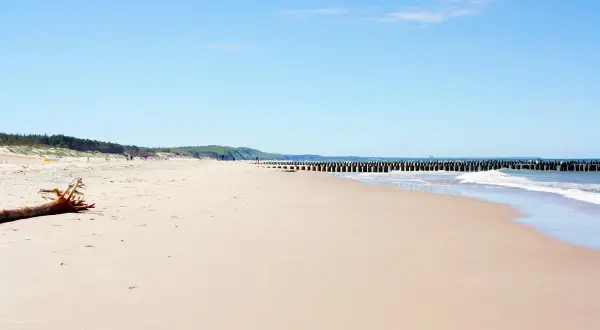 Piękna, piaszczysta plaża w Rowach, z drewnianymi falochronami i łagodnymi falami. Idealne miejsce na relaks.