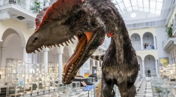 Dinozaur w muzeum w Warszawie, idealne miejsce na wycieczkę dla dzieci.