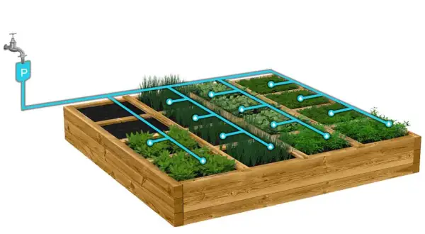 Schema impianto irrigazione a goccia orto con tubi blu che portano acqua alle diverse aiuole piantumate.