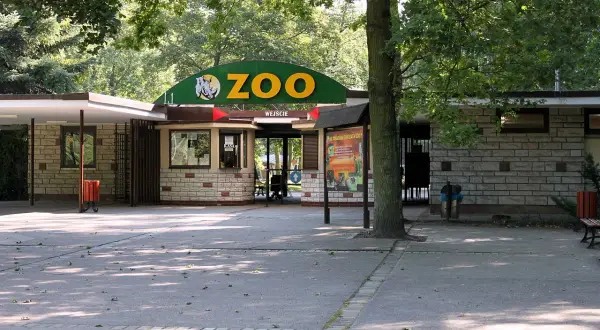 Wejście do zoo w Poznaniu. Jak dojechać z dworca PKP? Tu kupisz bilety i wejdziesz do świata zwierząt.