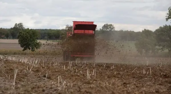 Czerwony rozrzutnik rozsypuje obornik na polu, przygotowując ziemię do nowego sezonu.