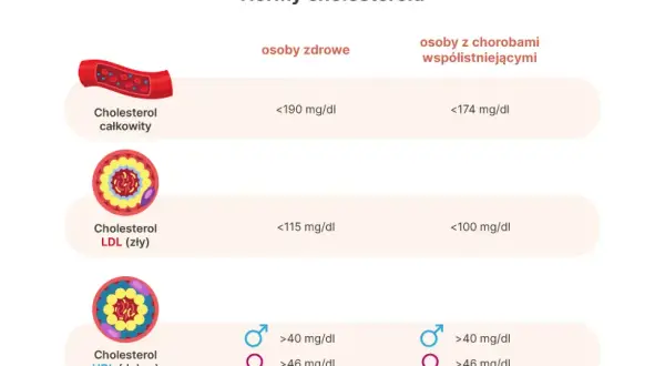 Czy cholesterol 240 to dużo? Normy, zagrożenia i skuteczne sposoby na obniżenie
