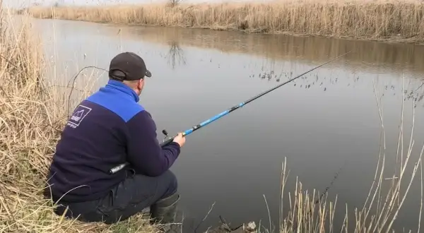 Wędki bolonki na jakie ryby: zaskakujące gatunki, które możesz złowić