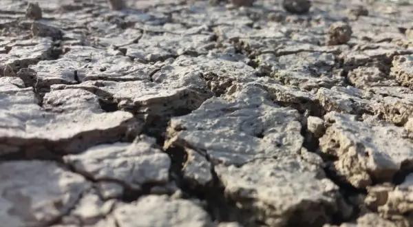Terreno arido e crepato, un esempio di suolo che necessita di tecniche per come abbassare la salinità del terreno e renderlo fertile.
