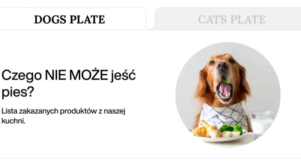 Złoty retriever z brokułem w pysku, obok talerz z jedzeniem i mlekiem. Dowiedz się, czego NIE MOŻE jeść pies.