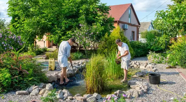 Dwóch mężczyzn pielęgnuje oczko wodne w ogrodzie. Jeden czyści wodę myjką ciśnieniową, drugi wyciąga rośliny.