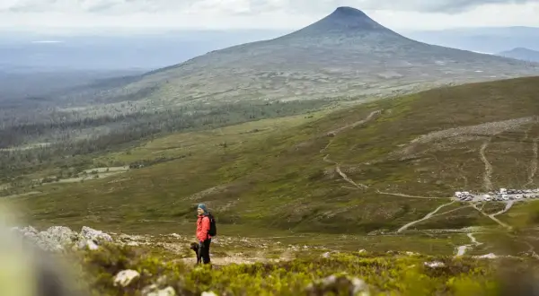 Vandrare med hund njuter av utsikten över berg i dalarna. En bilparkering syns i fjärran.