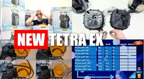 Tetra EX 800 Plus: Czy przecieka? Recenzja i porównanie