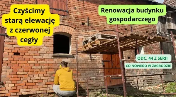 Jak odnowić starą cegłę na zewnątrz i uniknąć kosztownych błędów