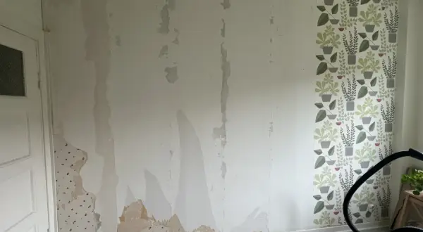 Väggen är delvis avskalad, en del tapet sitter kvar. En ny tapet med gröna växter är på väg att måla på tapet eller riva.