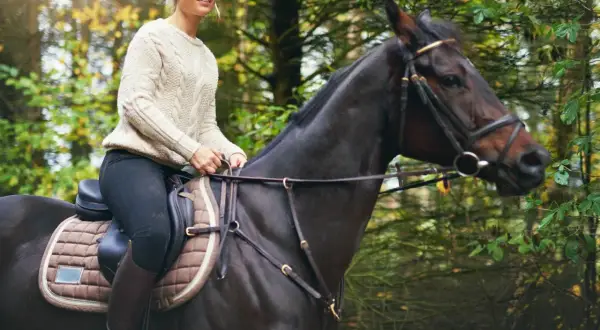 Kobieta na koniu podczas lekcji jazdy konnej w lesie. Słońce przebija się przez drzewa.