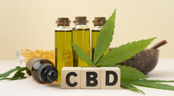 Rynek konopny w Polsce: jak wygląda segment CBD z perspektywy biznesowej