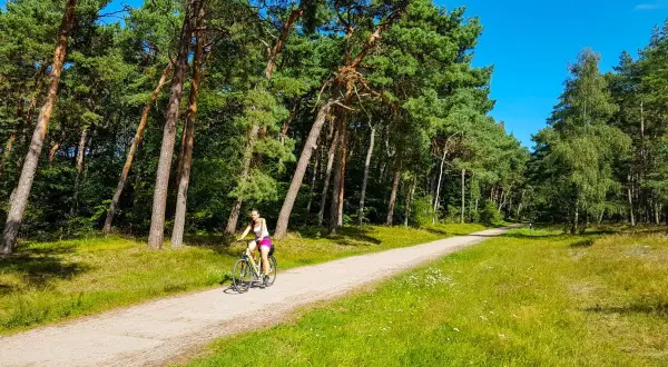 Wicie atrakcje: odkryj rodzinne skarby i niezapomniane chwile