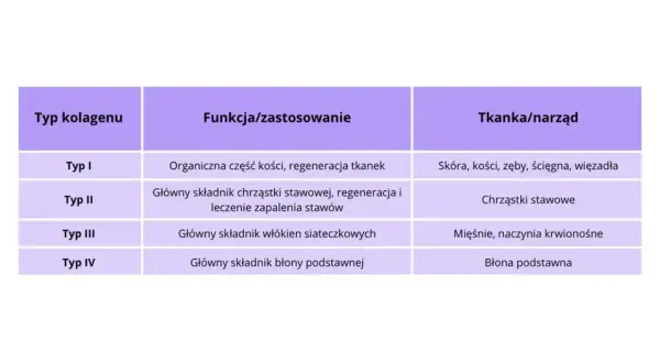 Tabela przedstawia typy kolagenu, ich funkcje i tkanki. Kolagen typu II jest głównym składnikiem chrząstki stawowej, wspierając regenerację i leczenie zapaleń, co czyni go najlepiej przyswajalny kolagen dla stawów.