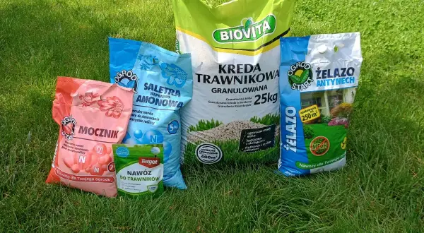 Różne rodzaje nawozów do trawników i roślin, w tym saletra amonowa, mocznik, kreda trawnikowa i nawóz z żelazem. Jaki nawóz do trawy wybrać?