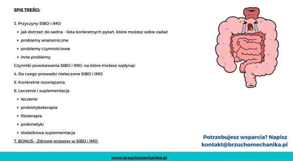 Rysunek przedstawia cierpiące jelita, symbolizujące IMO chorobę. Spis treści omawia przyczyny, objawy i leczenie.
