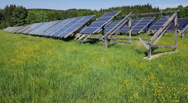 Panele fotowoltaiczne na łące pełnej żółtych kwiatów. Czy to przyszłość energetyki? OZE co to?