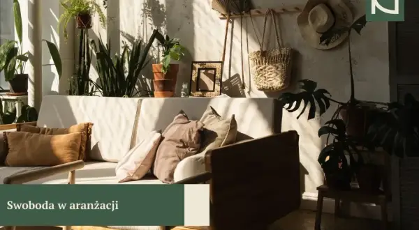 Przytulny salon w stylu boho z dużą ilością roślin, plecionymi dodatkami i miękkimi poduszkami. Słońce tworzy na ścianie ciekawe cienie.