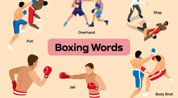 Illustrations of boxing moves like "Pull," "Overhand," "Stop," "Upper Cut," "Jab," and "Body Shot" are displayed with the title "Boxing Words.