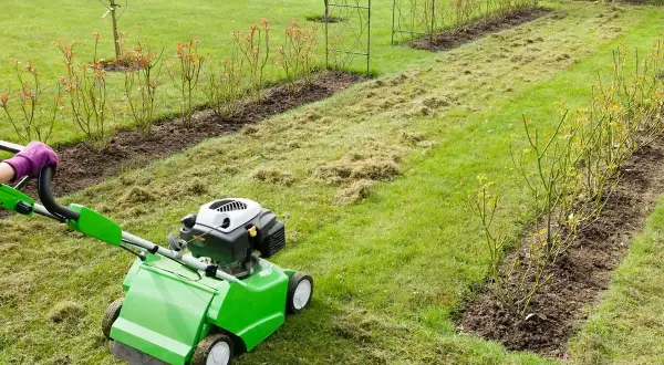 Osoba w rękawiczce obsługuje zieloną aeratorę, która wykonuje nakłuwanie trawnika, usuwając filc i mech.