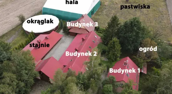 Widok z lotu ptaka na stadninę koni z budynkami, halą, okrąglakiem i pastwiskami.