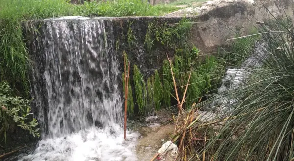 Cascada en un **río chico** con vegetación exuberante y cañas secas. El agua cae sobre rocas y se acumula en un pequeño estanque.
