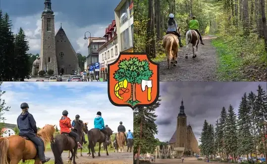Stadnina koni Limanowa - najlepsze stajnie i usługi jeździeckie