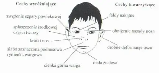 FAS: objawy psychiczne. Jak rozpoznać i wspierać dziecko z FASD?