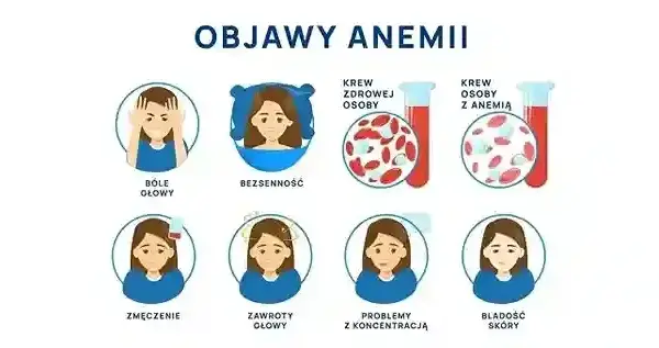 Zmęczenie, apatia, lęk? To może być niedobór żelaza! Jak leczyć?