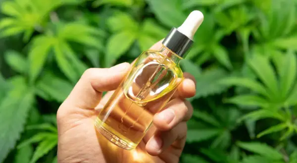 Dłoń trzyma buteleczkę z olejkiem konopnym. W tle zielone liście konopi, sugerujące naturalny skład produktu.