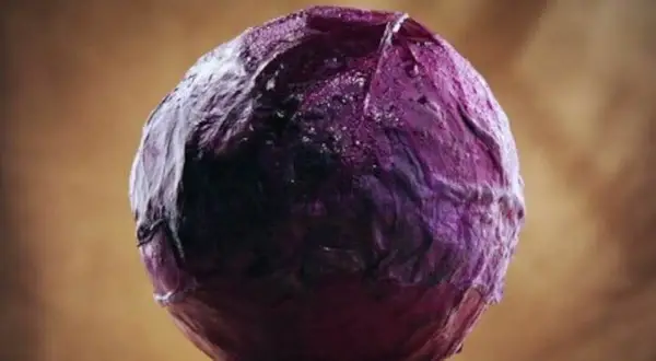 Rotkohl würzen: Meine Top-Gewürze für Blaukraut & den Wow-Effekt